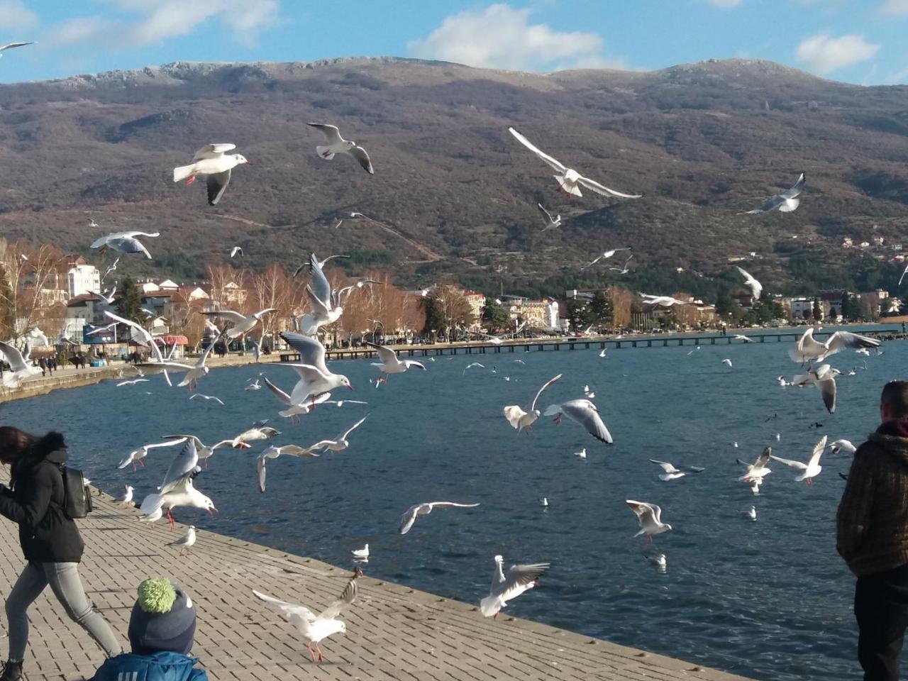 Apartment Jonoski Ohrid Kültér fotó